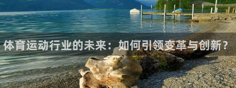 bbin视讯游戏官网：体育运动行业的未来：如何引领变革与创新？