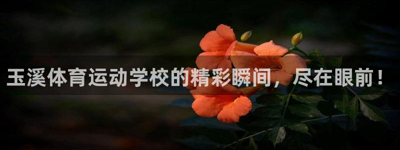 bbin视讯：玉溪体育运动学校的精彩瞬间，尽在眼前！
